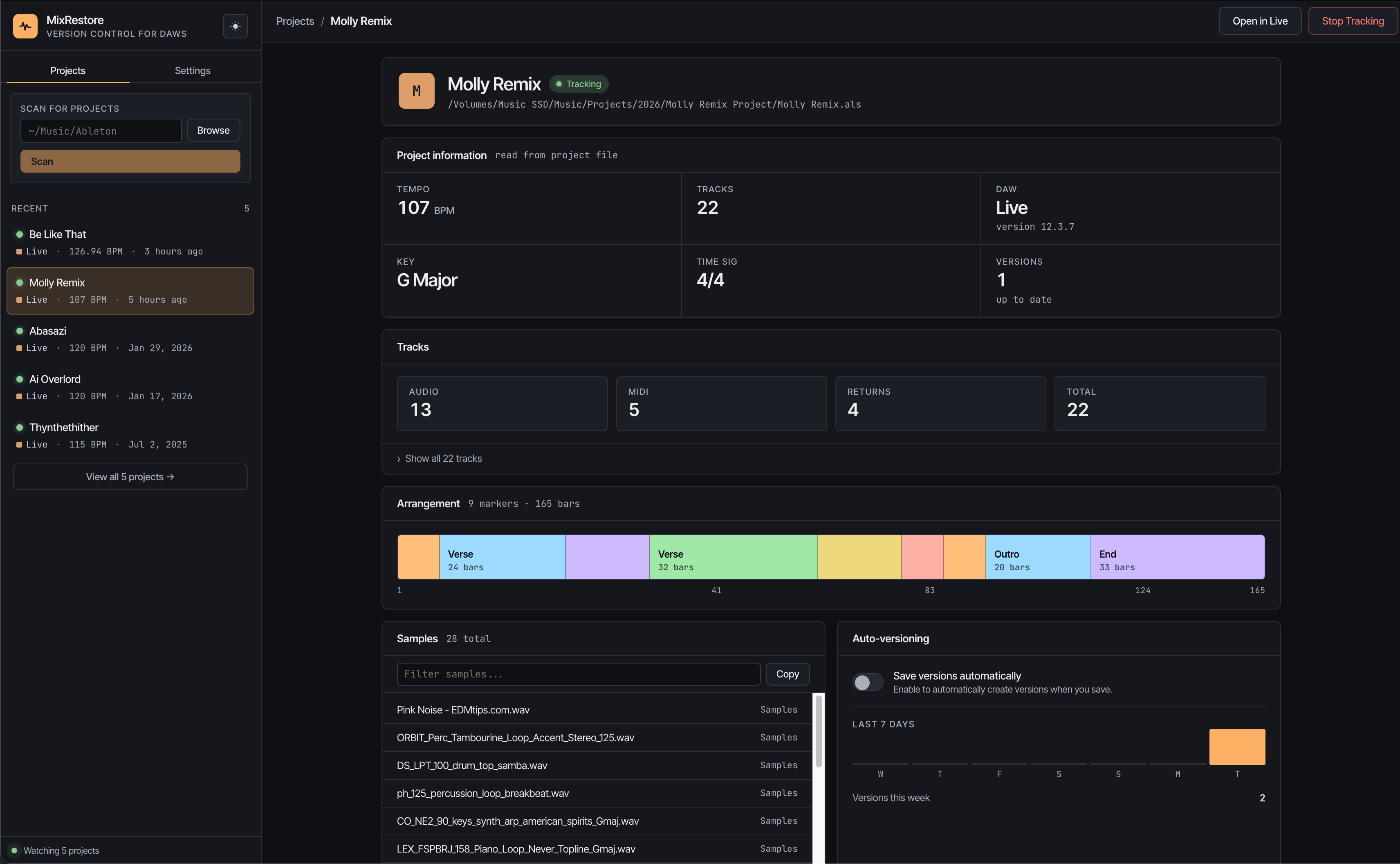 Project detail view with version history and metadata